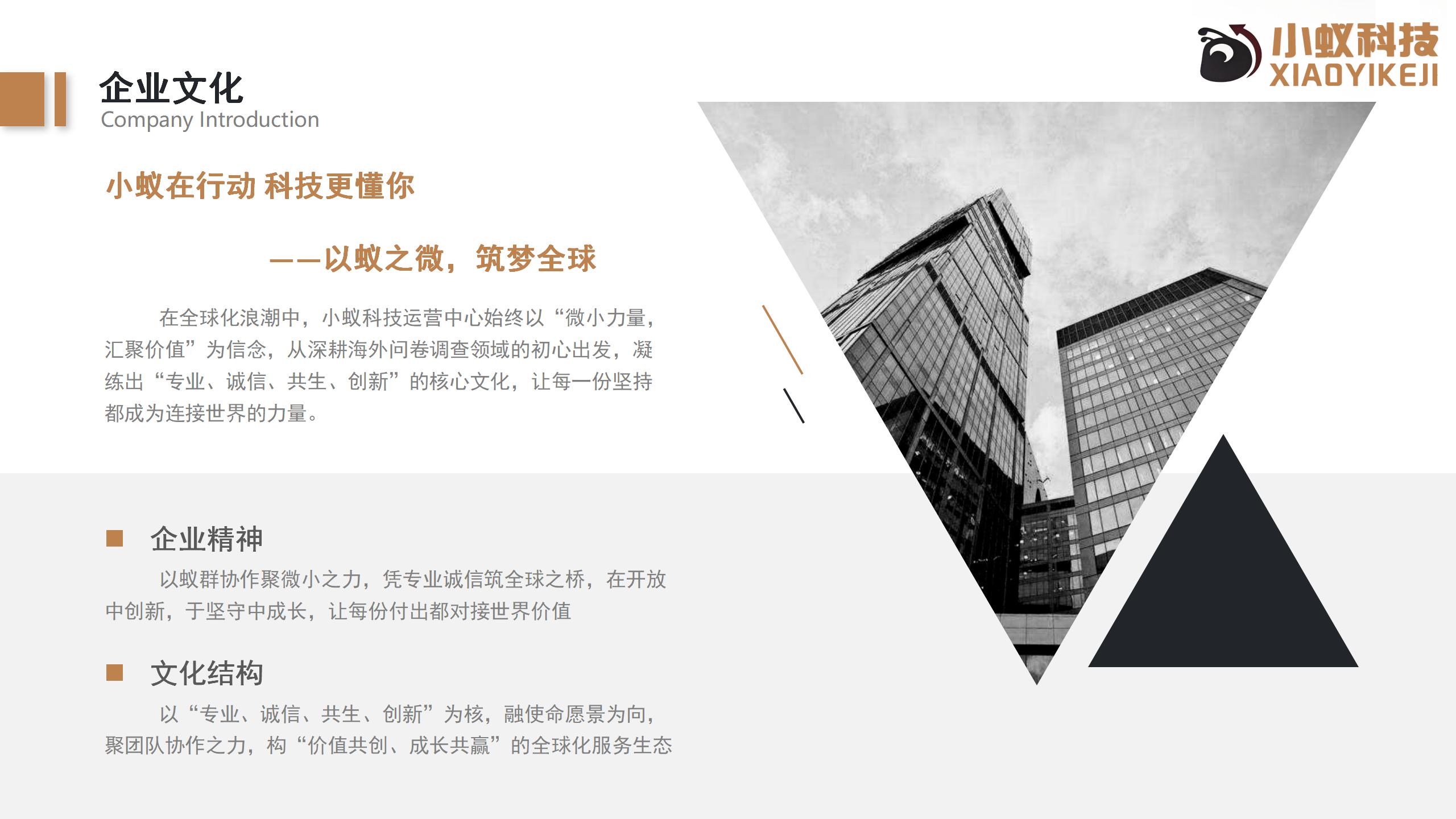 小蚁科技及产品介绍_05.jpg